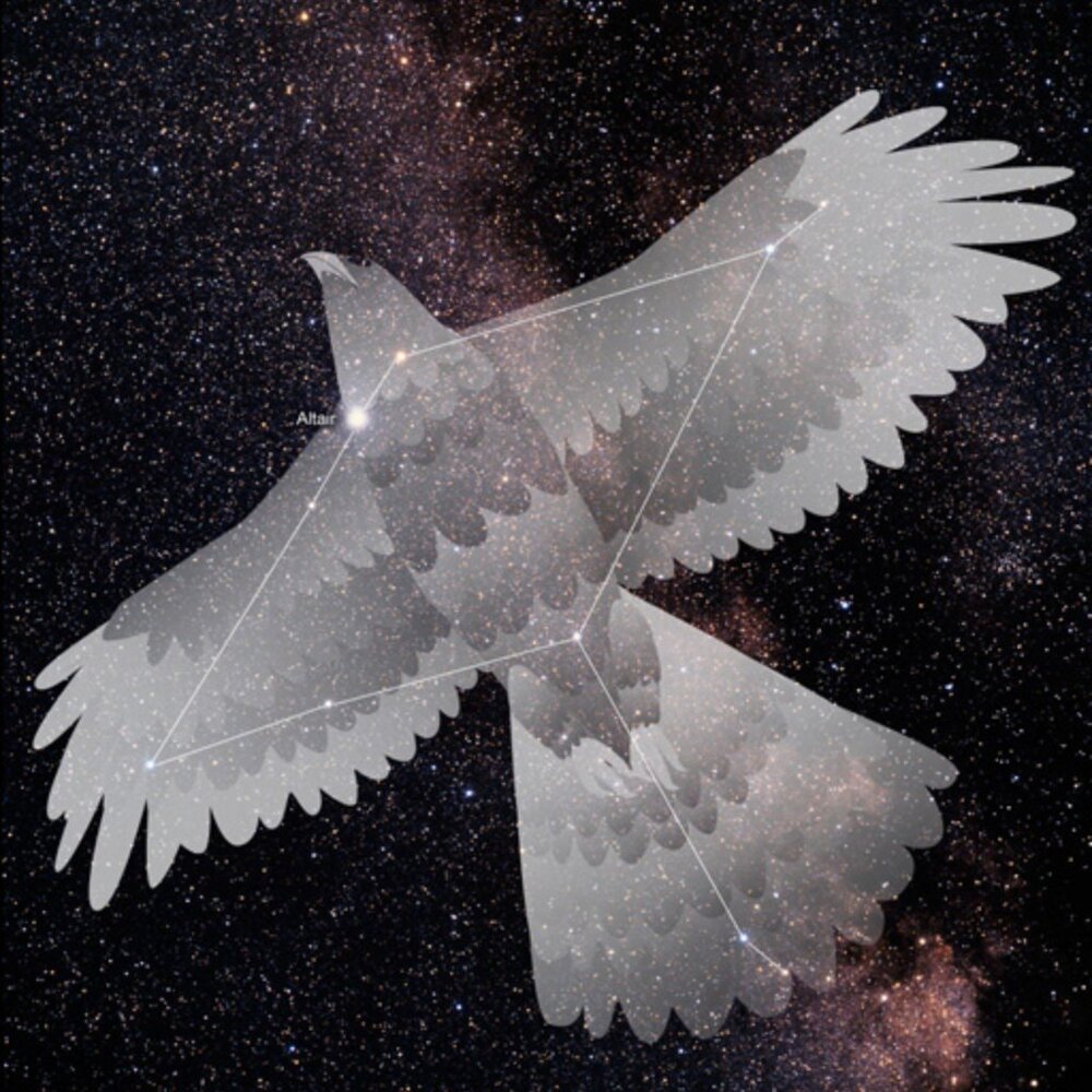 Meet your Posher, Aquila